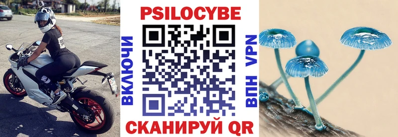 Псилоцибиновые грибы Psilocybine cubensis  закладка  Новокубанск 