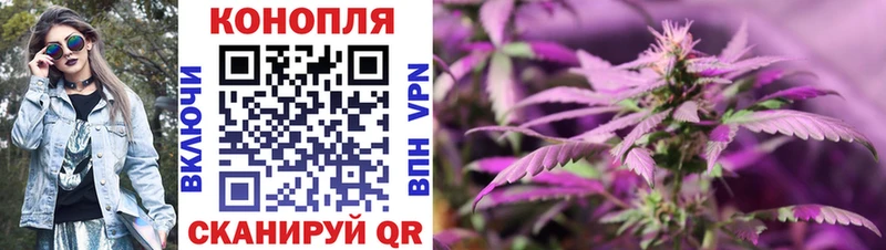 Каннабис SATIVA & INDICA  Новокубанск 
